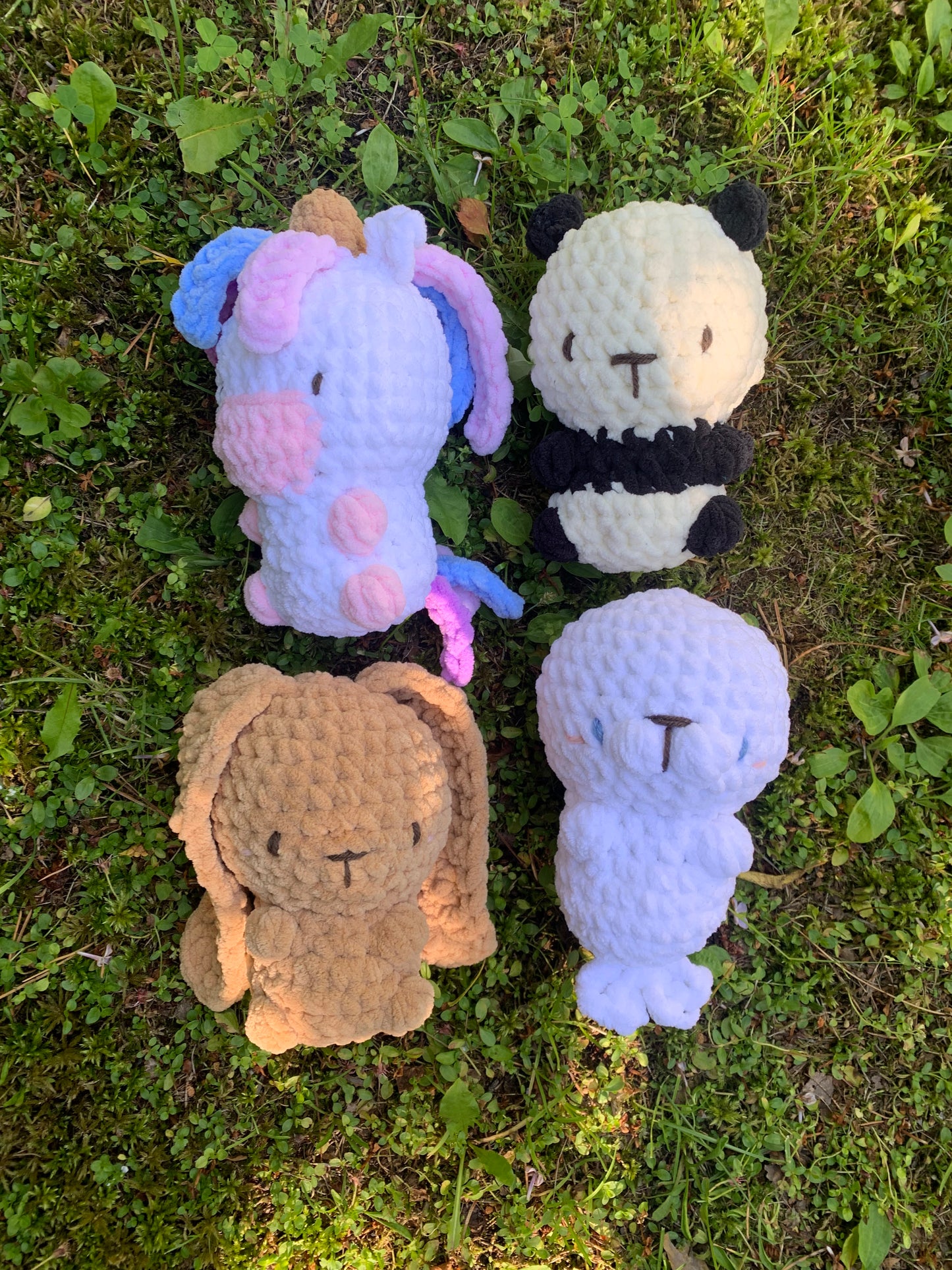Naperot - kuutti