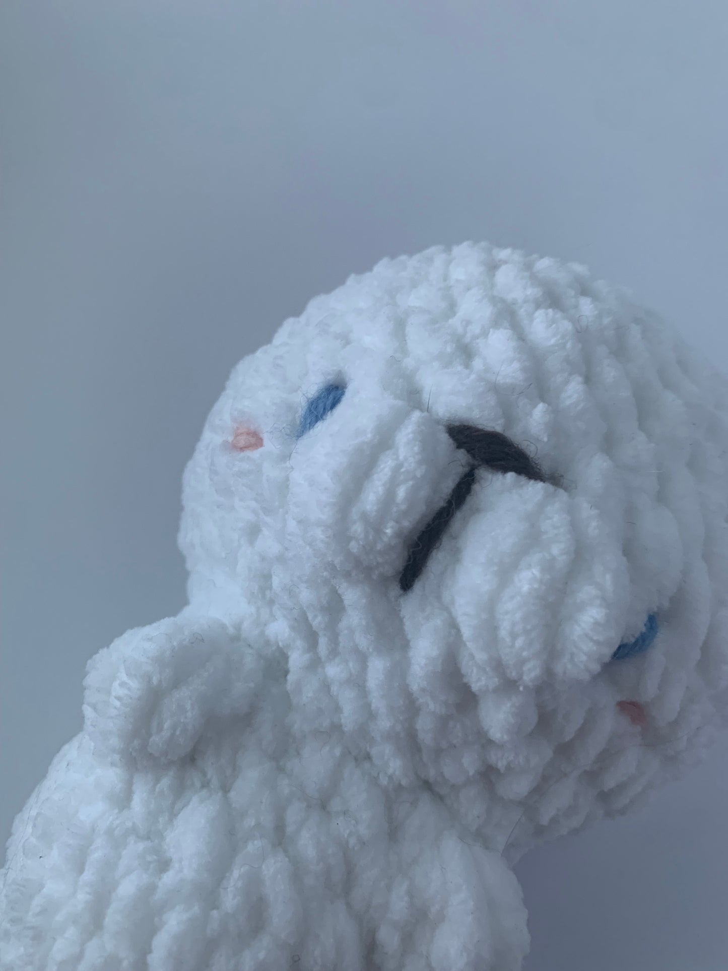 Naperot - kuutti